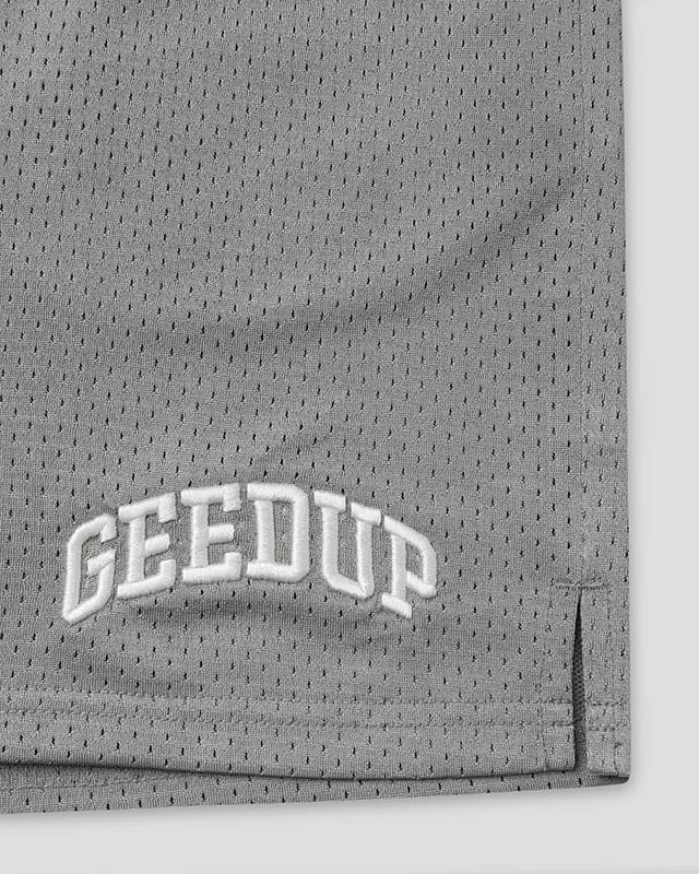 TEAM LOGO Mesh Shorts Grey - Image 3