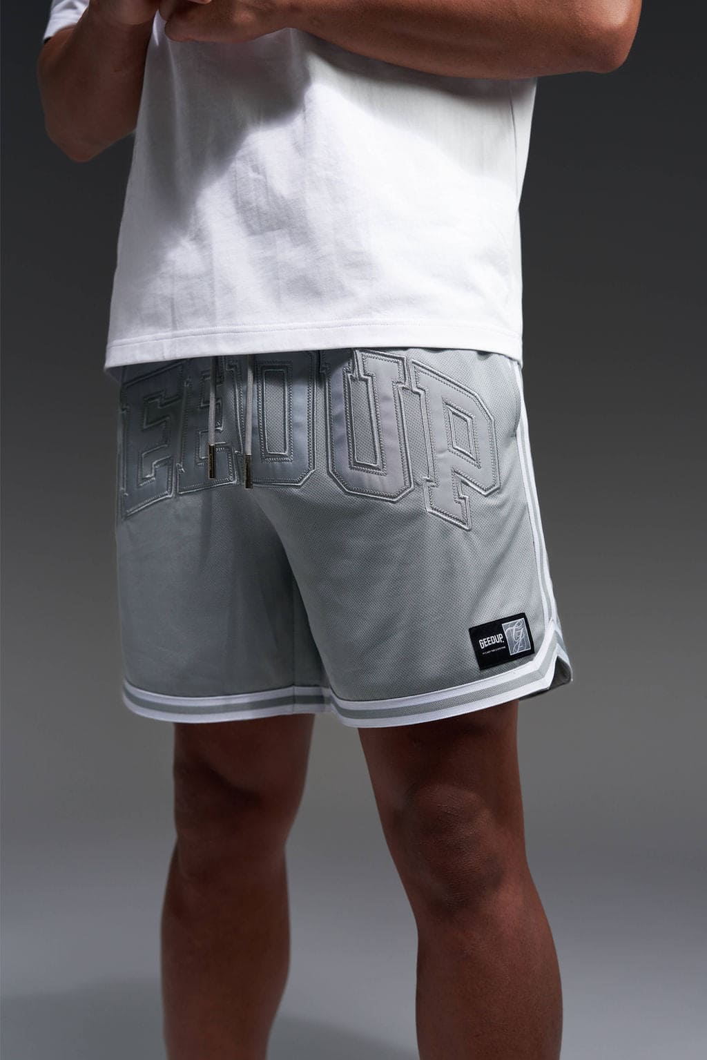 Team Logo B-Ball Short Grey - Image 3